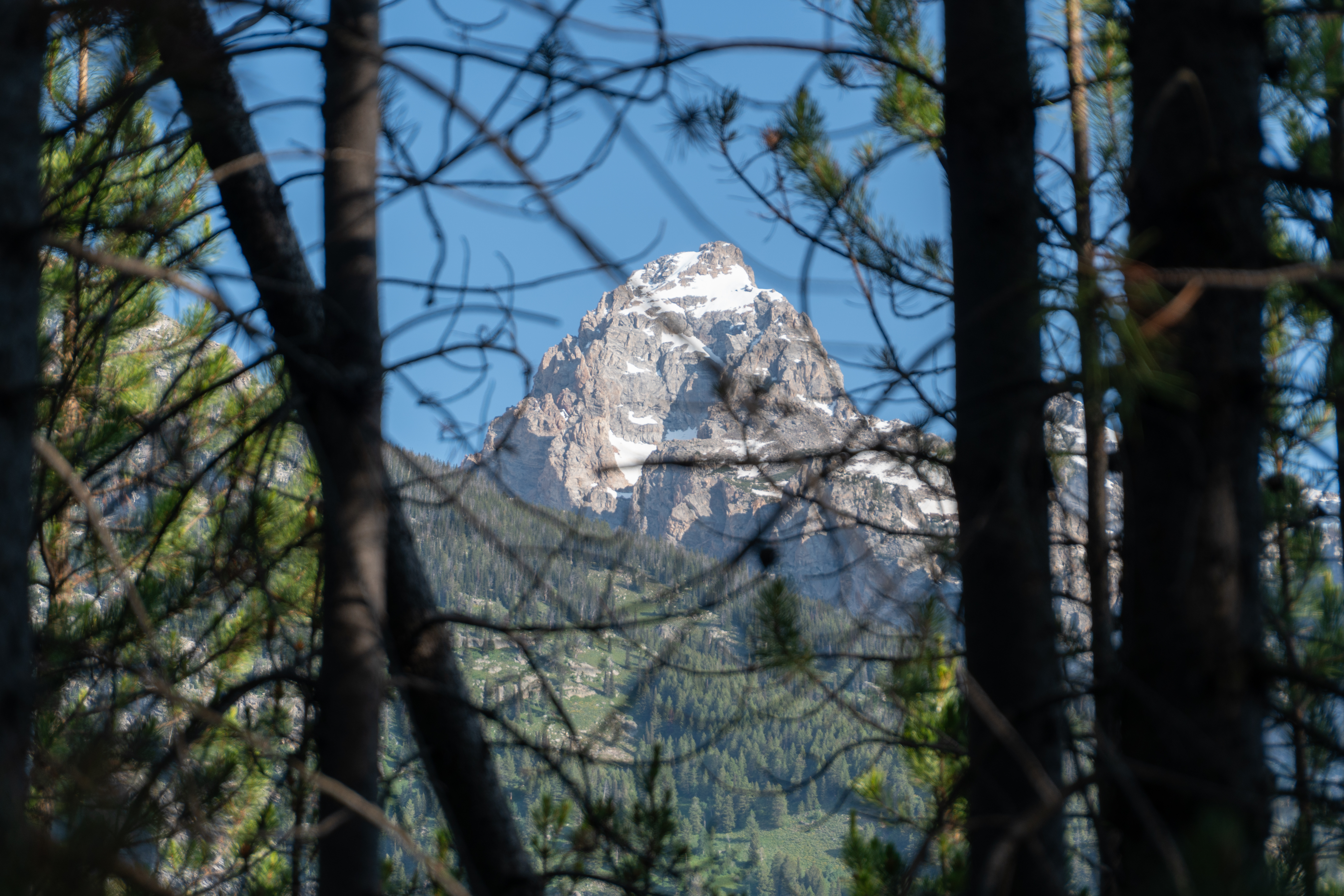 Taggart Lake Loop Trail